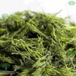 Dried herbs and vegetable