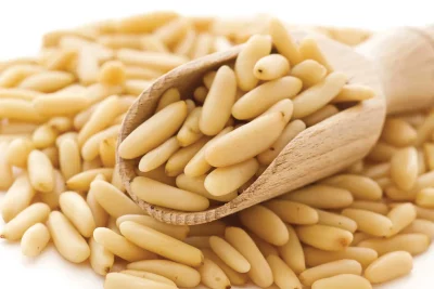 Pine nuts or Chilgoza pine