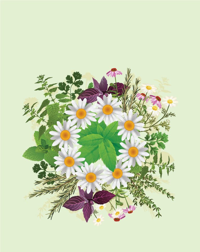 Banner-medicinal-herbs-NEW